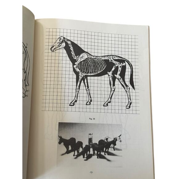 How To Carve Realistic Mules Book VTG 1985 Lester Hunt Wood Whittling Head Hoof - Picture 5 of 6